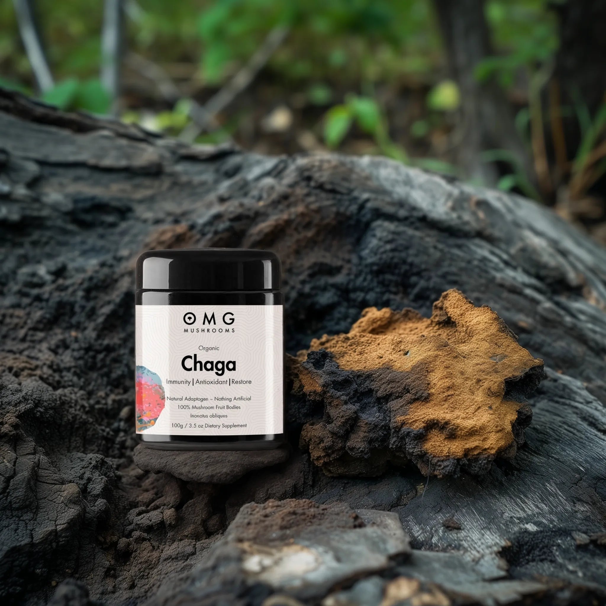 OMG Mushrooms CHAGA promo