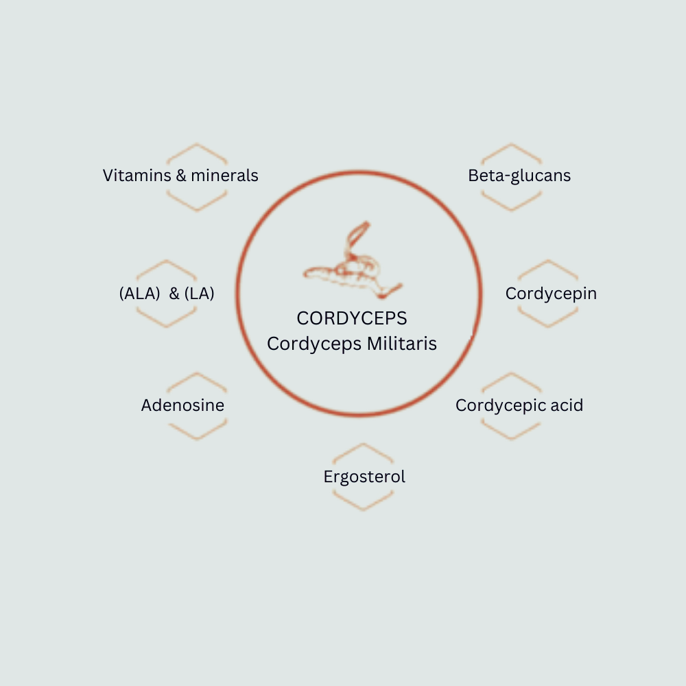 Cordyceps Biomolecules