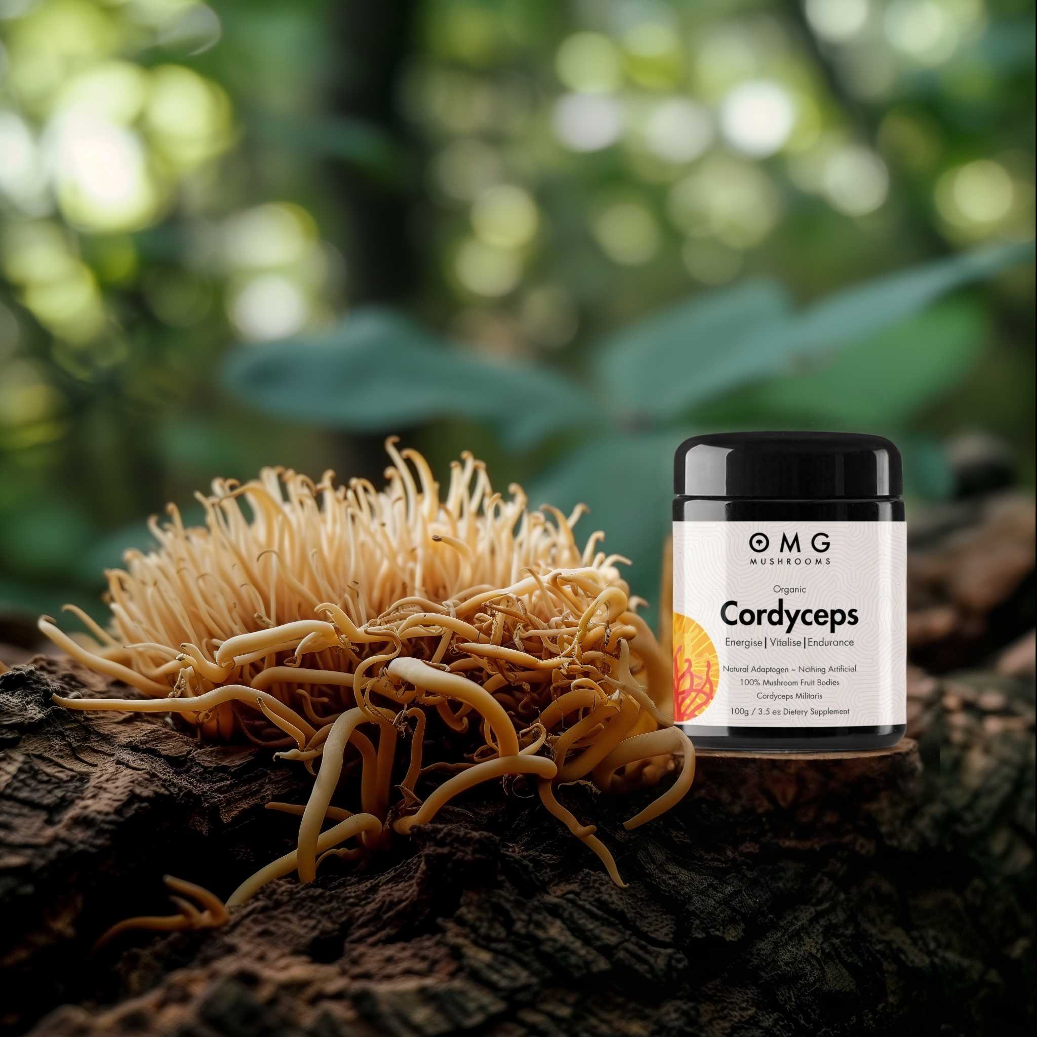 OMG Mushrooms CORDYCEPS promo only