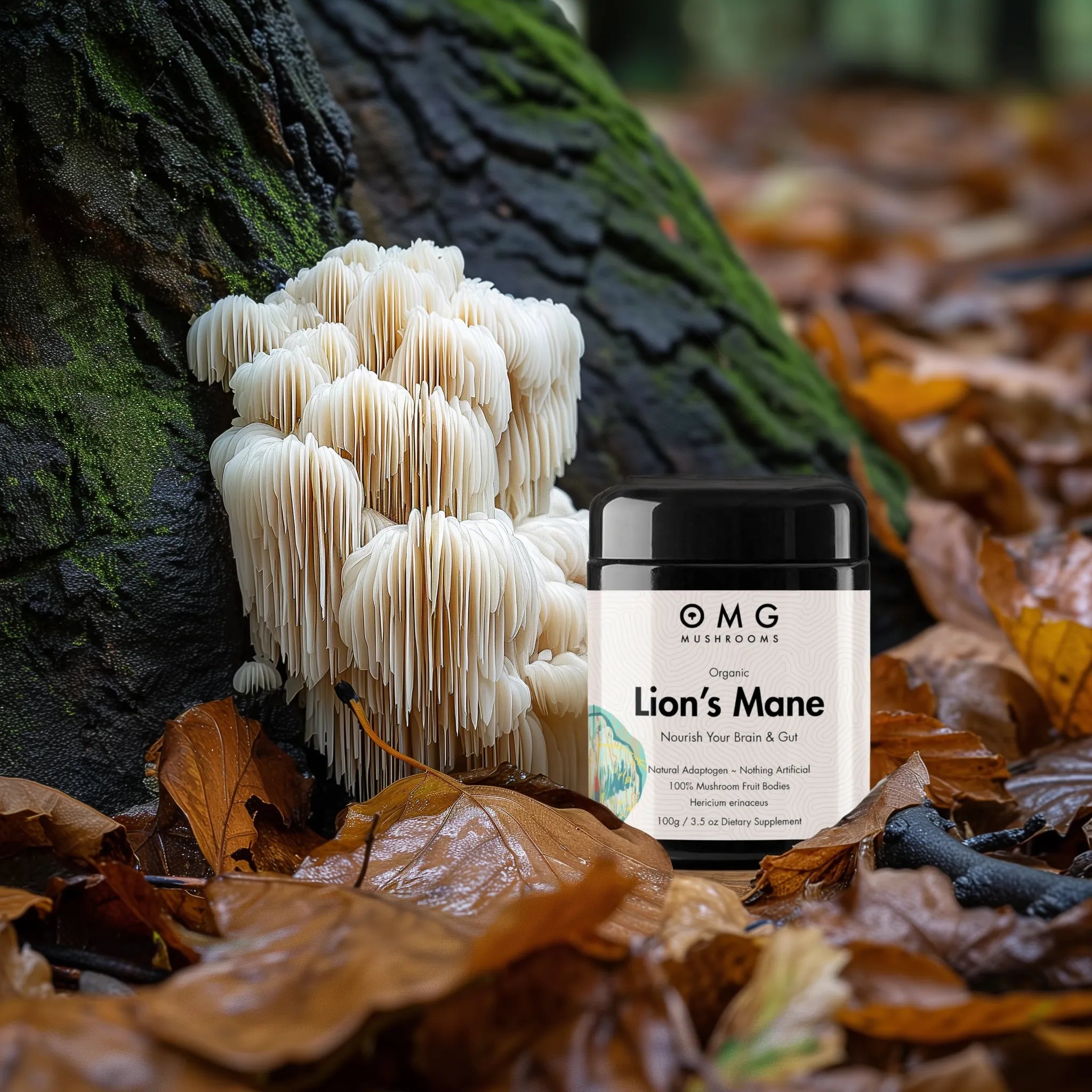 OMG Mushrooms LIONS MANE  promo only