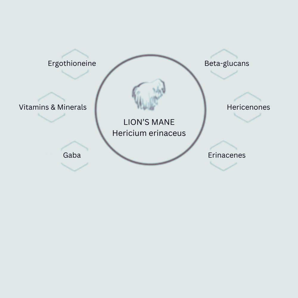 Lions Mane Biomolecules