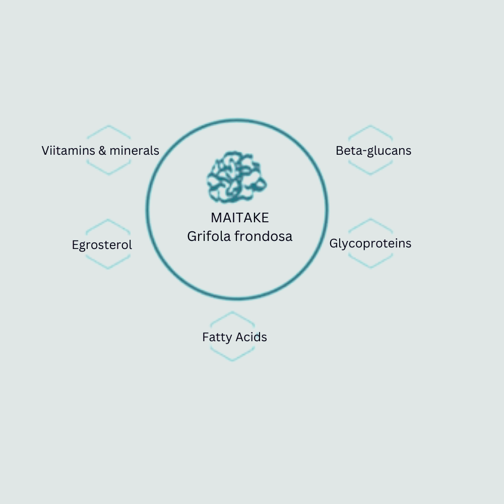 Maitake Biomolecules