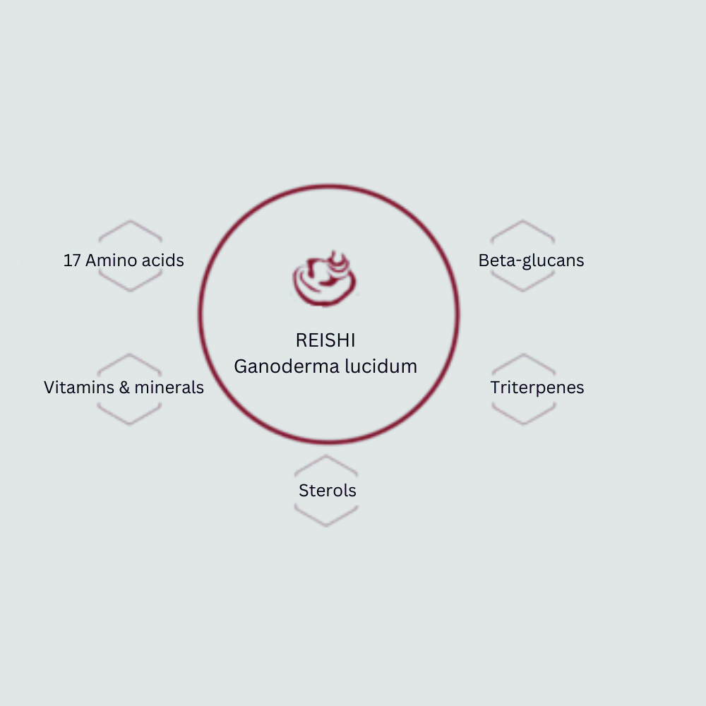 Reishi Biomolecules