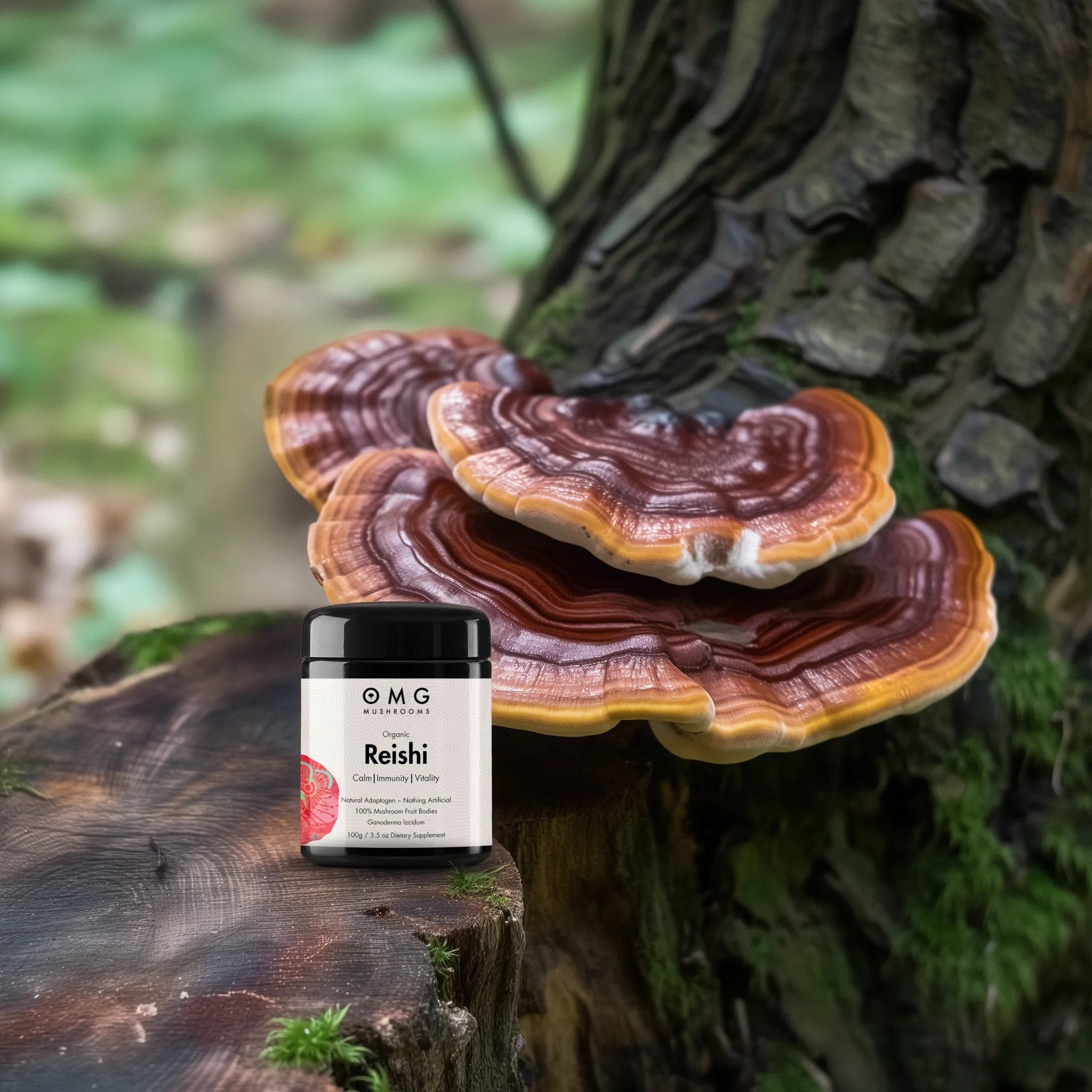 OMG Mushrooms REISHI promo only