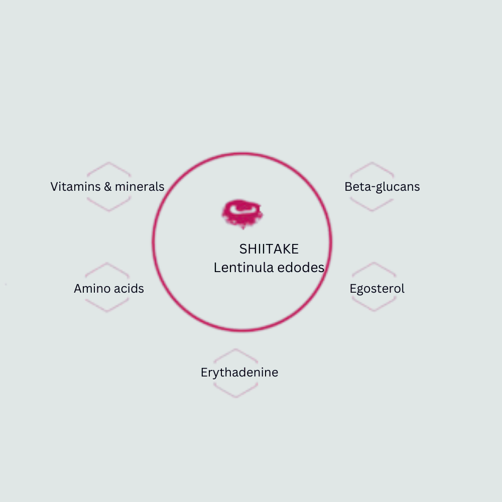 Shiitake Biomolecules