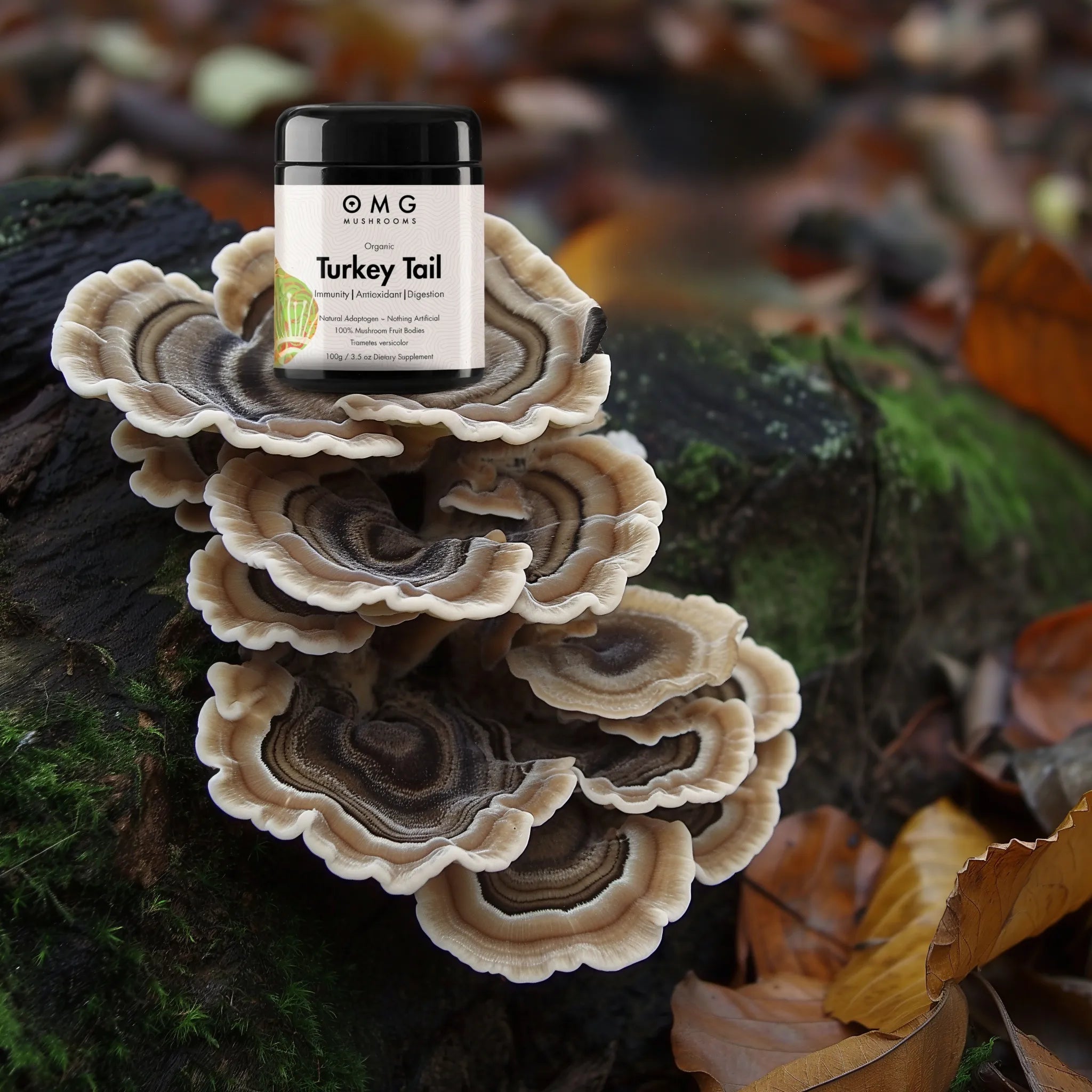 OMG Mushrooms TURKEY TAIL  promo only