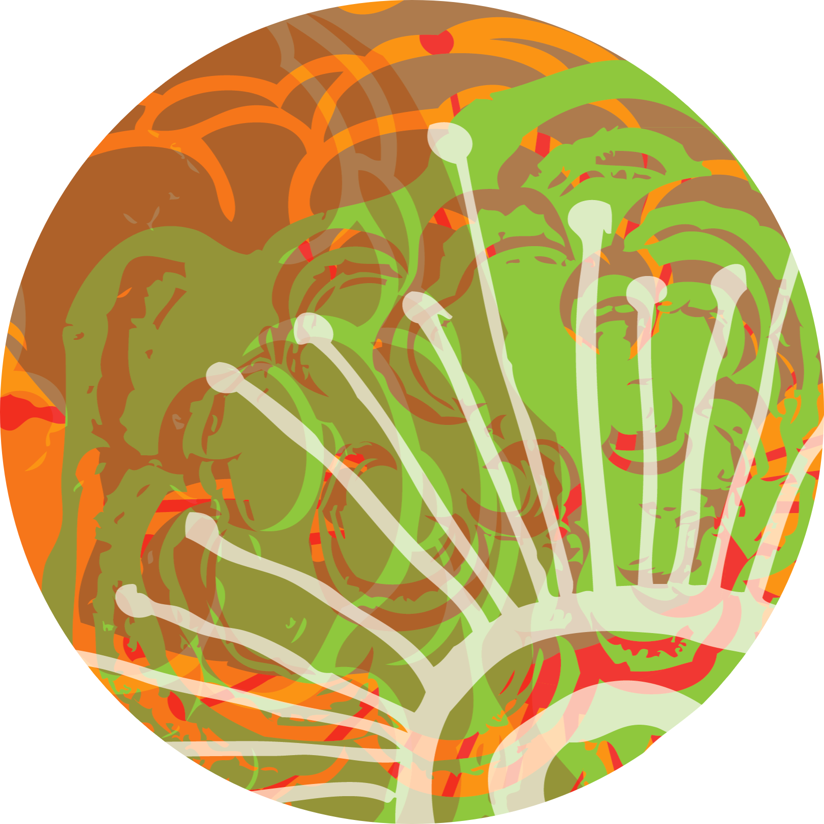 TurkeyTail Pearl - Abstract Art by Lauren Wilhelm