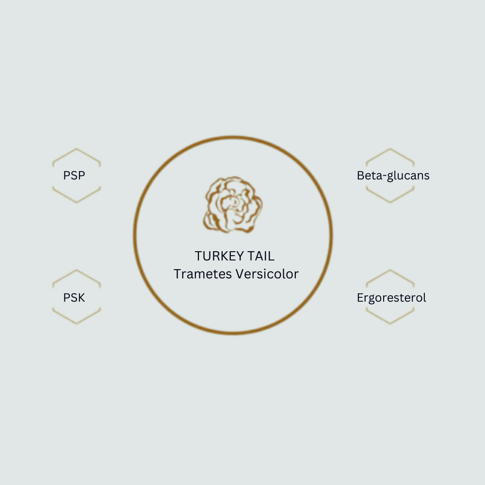 Turkey Tail Biomolecules